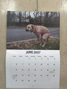 2027 Calendar Dog Pooping In Beautiful Places Funny Gag Gift Thick Paper Wall Calendar Christmas Home Decor Planner Schedule - Multiple Styles - View 1