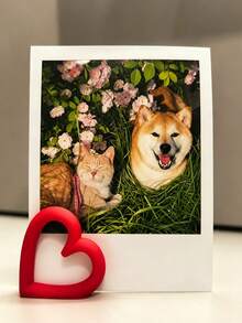 2pcs Heart-Shaped Desktop Photo Clips, Compact Instant Photo Card Display Holders, Add Romantic Atmosphere To Home And Desk, Perfect For Preserving Precious Moments, Ideal For Storing Travel Souvenir Photos And Postcards - Multicolor - View 6