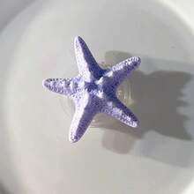 Fresh Style 3D Shell Starfish Pentagram Solid Color Star Magnetic Air Cushion Phone Stand Foldable Telescopic Rotating Air Pad Suction Finger Ring Support Holder - Multicolor - View 11
