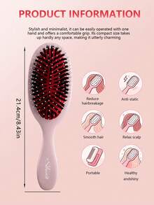 1pc Boar Bristle Hair Brush, Smooth & Shiny, Suitable For Oily Hair And Slicked Back Hairstyles, Can Curl And Straighten, Natural Bristles, Unisex, Suitable For All Hair Types - Multicolor - View 2