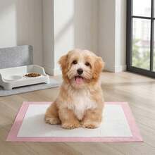 20/40/50/100PCS Pink Pet Training Pads For Dogs, Super Absorbent Leak Proof Dog Pee Pads With Quick Dry Surface, Odor Control Waterproof Puppy Training Mats, 6 Layer Thickened Pet Urine Pads For Puppy Senior Dogs Indoor Apartment Crate Travel - Pink - View 5