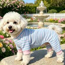 1件新款寵物服裝 小型犬四足套裝 適合泰迪犬 比熊犬 博美犬 貓咪 戶外室內休閒舒適透氣 防塵睡衣 春秋冬穿著 - 淺藍色 - 查看 3