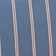 Blue Stripes