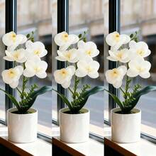 1pc Artificial Phalaenopsis Orchid Potted Plant - White - View 12