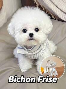 Pet Hair Memorial Keychain Pendant, Cute Teddy Dog Transparent Hair Collector, Creative Dog-Shaped Keychain, Designed For Collecting Pet Hair, Can Be Used As A Keepsake - Multicolor - View 7