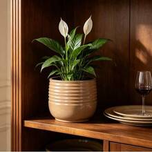 Single Handmade Ceramic Plant Pot (Ø 20 Cm), Glossy Light Brown With Horizontal Wave-Ribbed Structure, Breathable, Frost-Resistant, With Drainage Holes For Small Indoor And Windowsill Plants - Light Brown - View 3
