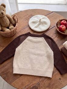 Unisex Baby Ins Vintage Colorblock Knit Sweater, 3D Towel Embroidery Polka Dot Puppy & Car Cartoon Letter Raglan Long Sleeve Pullover - Apricot - View 2