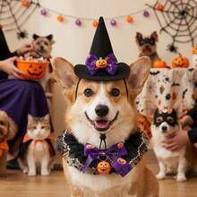 1set-Pet Halloween Witch Hat & Lace Collar Set, Adjustable Comfort Fit, Pumpkin Bell Design, For Halloween Party, Trick-Or-Treat & Cute Photos, Cat Dog Costume Accessory. - Multicolor - View 5