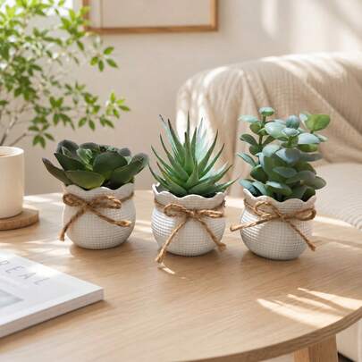 3 Piezas Plantas Suculentas Artificiales en Maceta, Sin Mantenimiento, Estilo Nórdico, Decoración para Escritorio, Hogar, Dormitorio, Baño, Oficina y Fiestas
