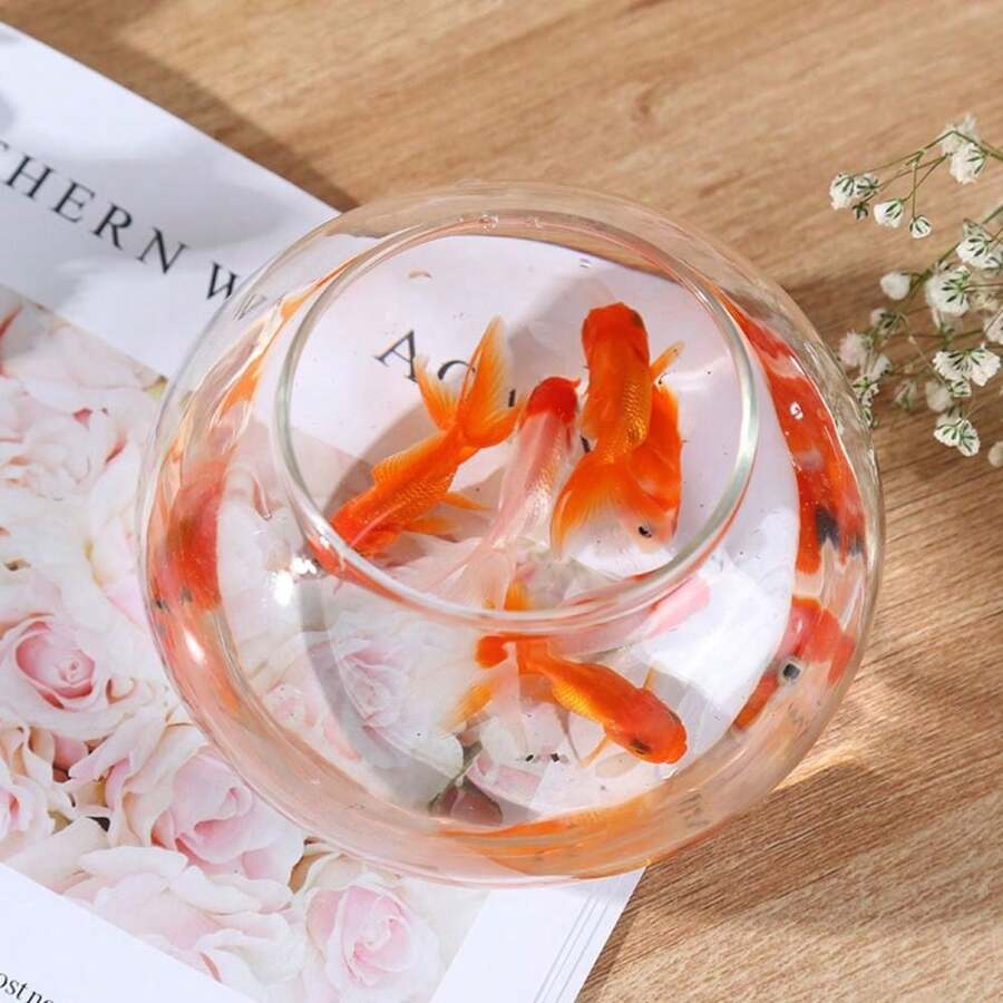 1PC Sturdy Nicely Betta Fish Bowl Small Aquariums For Small Ornamental Fish And Reptiles High Transparency Plastic Good View - Clear - View 1