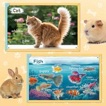 Pets Learning Notebooks, Dog And Common Pet Picture Recognition, Basic English Vocabulary, Animal Name Learning And Visual Recognition Activities For Home Classroom And Daily Study - Pets Vocabulary Learning - View 3