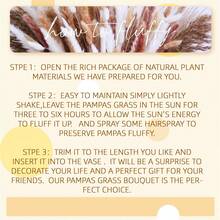 117 PCS Dried Pampas Grass Bouquet, Boho Table Decor, Bunny Tails Dried Flowers, Brown Pompas, White Pampas Grass For Wedding, Home, Rustic Party, Baby Shower Decorations - Multicolor - View 3