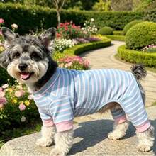 1件新款寵物服裝 小型犬四足套裝 適合泰迪犬 比熊犬 博美犬 貓咪 戶外室內休閒舒適透氣 防塵睡衣 春秋冬穿著 - 淺藍色 - 查看 8