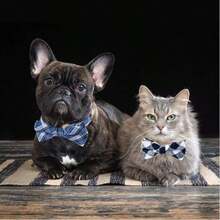 5/10pcs Plaid Pattern Dog Collar With Elastic Band, Mixed Color Dog Bow Tie, Fashion Pet Bow Tie, Suitable For Cats And Dogs, Grooming Accessories - Multicolor - View 4