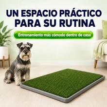 Cat Litter - g - View 11