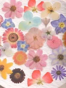 1 Pack 40pcs Floral PET Decorative Stickers Scrapbooking Collage Decals - Falling Petals - View 2