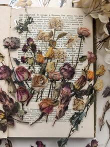 1 Pack 40pcs Vintage Botanical Rose Flower Decorative PET Stickers For Planner - DT1676 - View 4