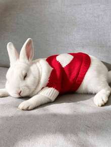 1pc Heart-Shaped Sweater, Autumn/Winter Warm Rabbit Sweater, Cute Heart Design Acrylic Material, Rabbit Pet Accessories, Rabbit Pet Supplies, Rabbit, Rabbit Pet Accessories, Rabbit Pet Supplies, Rabbit, Rabbit Supplies, Rabbit Clothes, Rabbit Supplies, Suitable For Small Pet Lop-Eared Rabbits On Valentine's Day - Multicolor - View 5