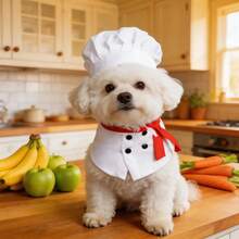 BJAYPET Pet Chef Costume Set With Chef Hat And Apron, Funny Role Play Outfit For Teddy, Bichon Frise And Small To Medium Dogs, Cute Dog Cosplay Clothes For Holiday Party, Birthday Gathering And Photo Shoot - White - View 3