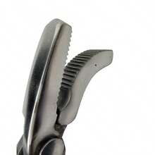 Horse Farrier Tools - View 2