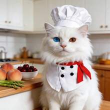 BJAYPET Pet Chef Costume Set With Chef Hat And Apron, Funny Role Play Outfit For Teddy, Bichon Frise And Small To Medium Dogs, Cute Dog Cosplay Clothes For Holiday Party, Birthday Gathering And Photo Shoot - White - View 6