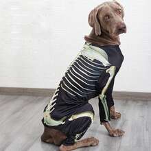 BJAYPET Halloween Pet Dog Skeleton Bone Frame Four-Legged Transformation Costume, Funny Cosplay Outfit For Weimaraner, Golden Retriever, Labrador And Large Dogs, Holiday Party Atmosphere Photo Prop Dress-Up - Black - View 6