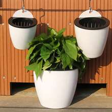 New Automatic Water-Absorbing Slouchy Planter, Creative Hydroponic Wall-Mounted Round Resin Pothos Plastic Flower Pot - Self-watering Planter - View 5