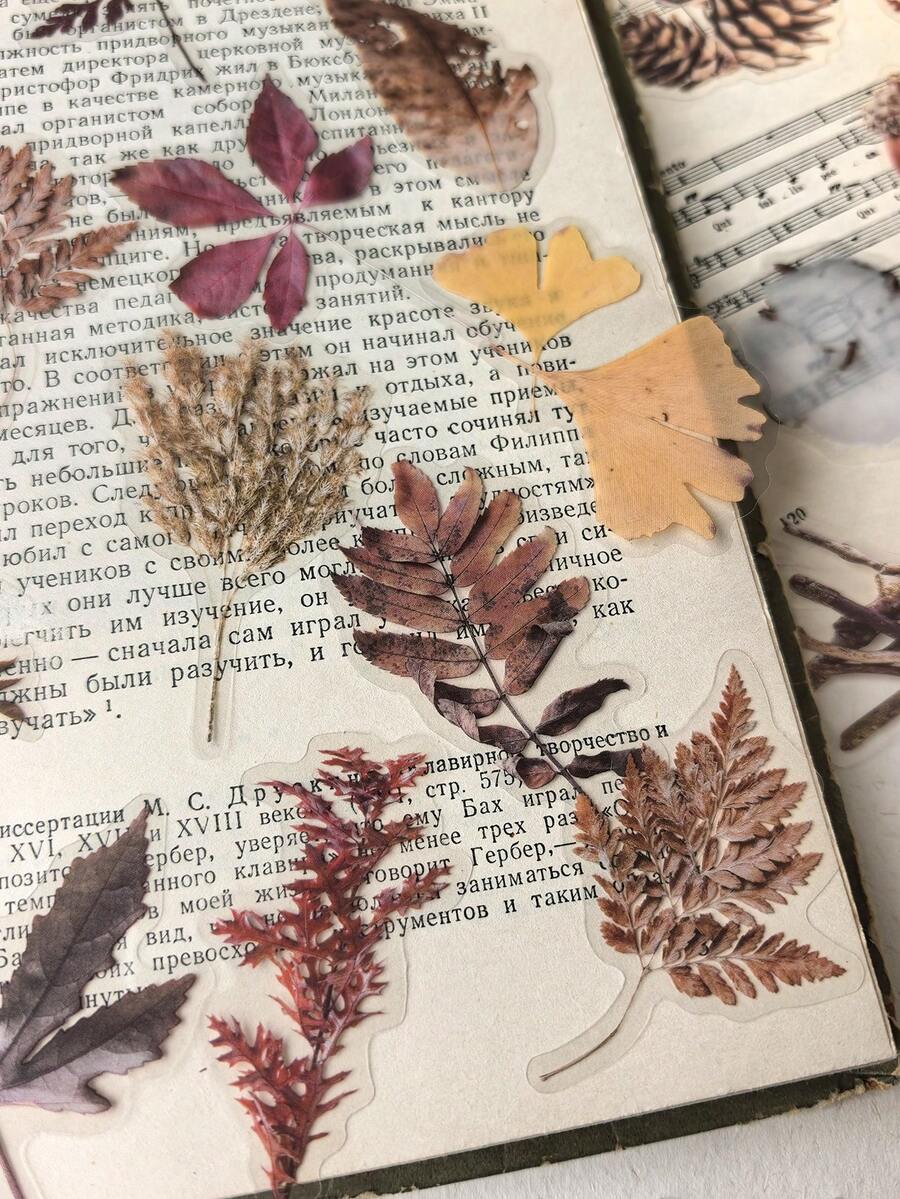 1 Pack 40pcs Vintage Botanical Pattern Dry Branch & Leaf Scrapbooking Decorative PET Sticker Set - DT1676 - View 1