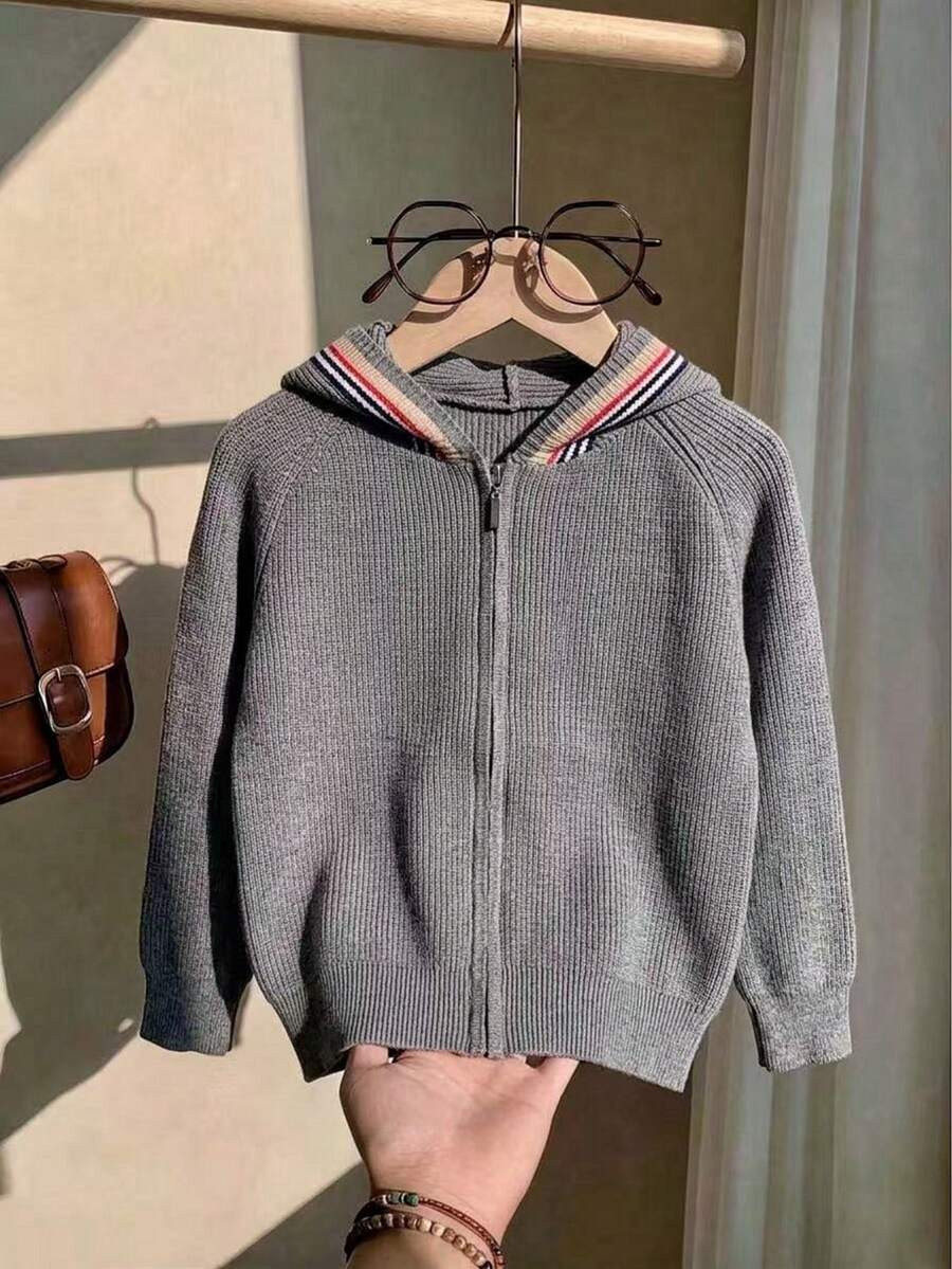 Boys' Preppy Colorblock Striped Hooded Cardigan Sweater, Knit, Suitable For School, Spring, Autumn, Winter - Grey - View 1