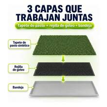 Cat Litter - g - View 5