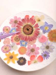 1 Pack 40pcs Floral PET Decorative Stickers Scrapbooking Collage Decals - Falling Petals - View 6