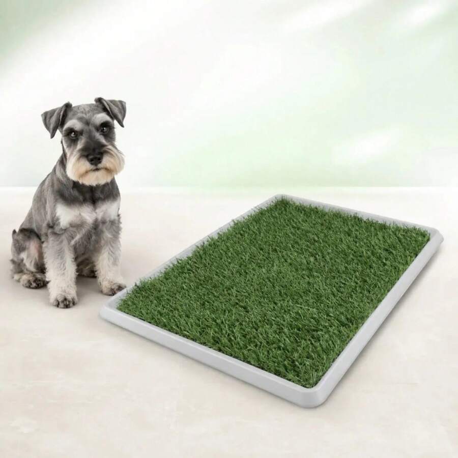 Cat Litter - g - View 1