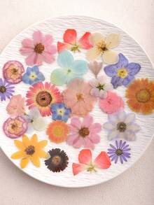 1 Pack 40pcs Floral PET Decorative Stickers Scrapbooking Collage Decals - Falling Petals - View 12