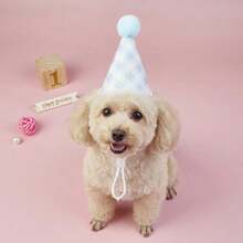 Pet Birthday Party Hat, Pink Plaid Felt Cone Hat With Pom Pom, Adjustable Elastic Band, Suitable For Cats And Small Dogs, Cute And Reusable, Birthday Celebration Headpiece, Perfect For Party Photos - Multicolor - View 5