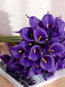 Dark Purple