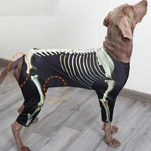 BJAYPET Halloween Pet Dog Skeleton Bone Frame Four-Legged Transformation Costume, Funny Cosplay Outfit For Weimaraner, Golden Retriever, Labrador And Large Dogs, Holiday Party Atmosphere Photo Prop Dress-Up - Black - View 9