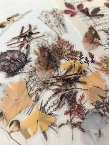 1 Pack 40pcs Vintage Botanical Pattern Dry Branch & Leaf Scrapbooking Decorative PET Sticker Set - DT1676 - View 5
