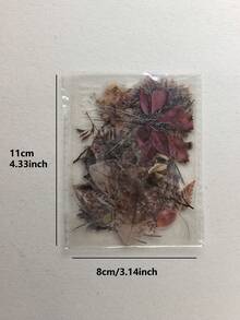 1 Pack 40pcs Vintage Botanical Pattern Dry Branch & Leaf Scrapbooking Decorative PET Sticker Set - DT1676 - View 7