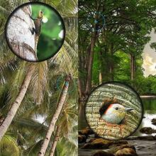 16X52 High‑Power Waterproof Monocular Telescope Compact Upgraded 52mm For Adults And Kids - A - View 11