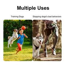 Adjustable Dog Training Whistle, Ultrasonic Small Metal Pet Whistle With Keychain, Crisp Sound, Suitable For Dog And Pigeon Behavior Training Tool - Multicolor - View 9