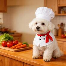 BJAYPET Pet Chef Costume Set With Chef Hat And Apron, Funny Role Play Outfit For Teddy, Bichon Frise And Small To Medium Dogs, Cute Dog Cosplay Clothes For Holiday Party, Birthday Gathering And Photo Shoot - White - View 7