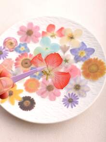 1 Pack 40pcs Floral PET Decorative Stickers Scrapbooking Collage Decals - Falling Petals - View 7
