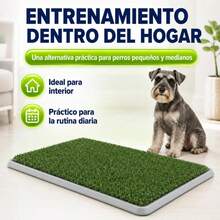 Cat Litter - g - View 4