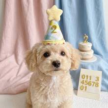 1pc Colorful Pet Birthday Hat, Cute Party Cone Hat With Pom Pom, Suitable For Dogs And Cats, Lightweight Adjustable Headpiece, Perfect For Celebration Events And Photo Props, Adorable Gift - Multicolor - View 1