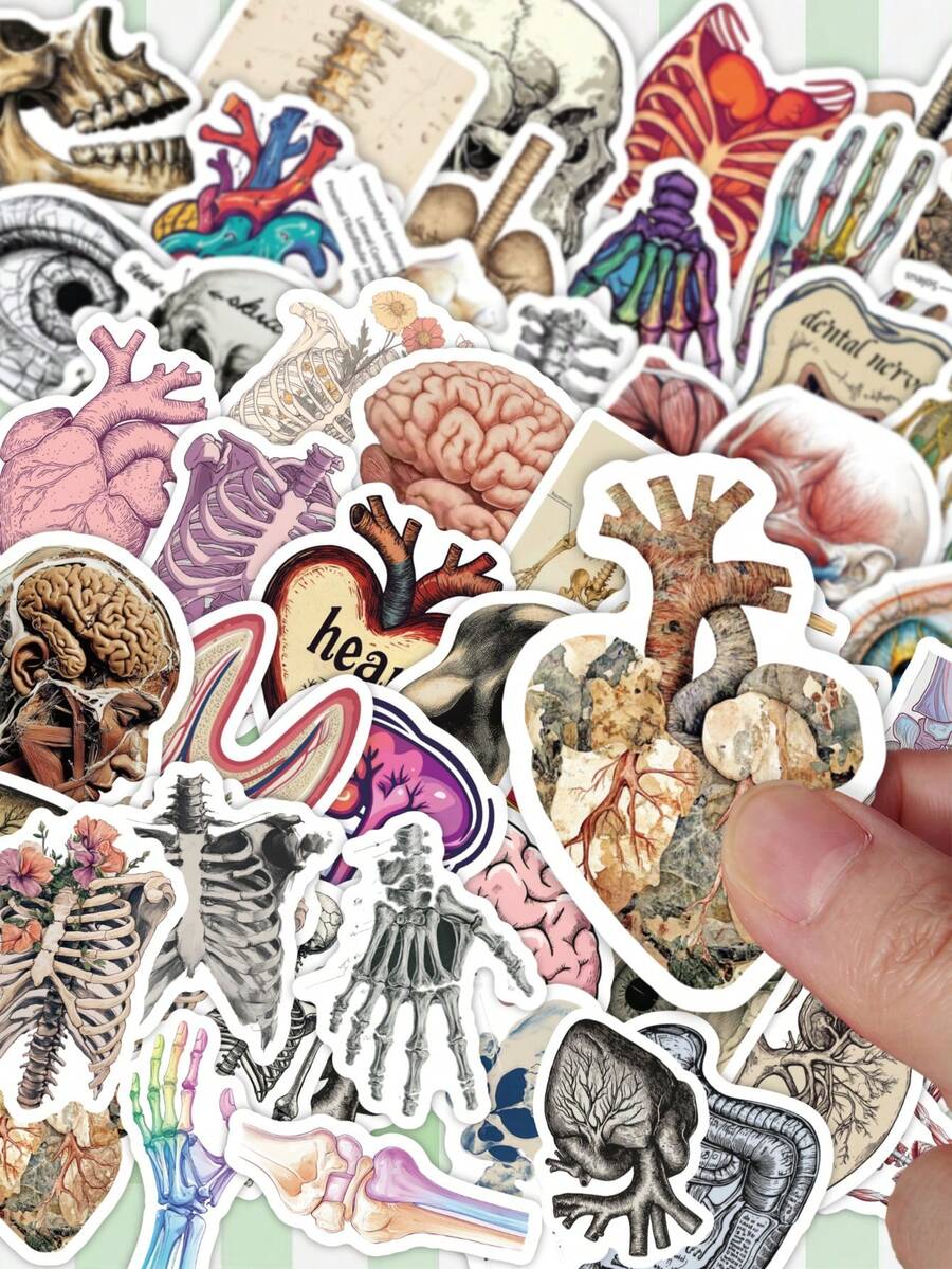 50Pcs Vintage Human Anatomy Decorative Stickers, Skeleton Organ Skull Waterproof Stickers For Laptop, Water Bottle, Journal, Scrapbook - A - View 1