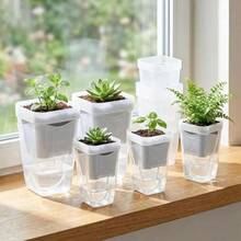 10sets Indoor Plant Self-Watering Planter Set, Includes 10 Mini Transparent Plastic Pots With Water Level Indicator And Drainage Hole, Suitable For Propagating Plants, Succulents And African Violets - Multiple Styles - View 5