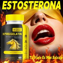 MEGNETA Vitamins/Minerals - 3 Bottles - View 3