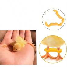 12pcs Bird Leg Bands, 3 Sizes, Suitable For Newborn Chicks, Quail, Ducklings, Parrots And Orphaned Young Birds - Multicolor - View 8