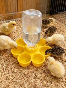 Anti-Drowning Waterer For Chicks, Quail, Ducklings And Poultry, Fits Mineral Water Bottles With Approx. 2.5cm Opening, Essential Brooder Box Chicken Raising Supplies - Multicolor - View 2