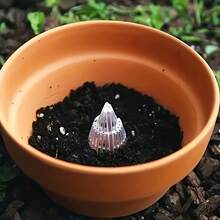 18pcs Flower Pot Bottom Filter, Durable Plastic Cone-Shaped Root Protection Cover, Cage Structure, Prevents Rot And Enhances Drainage, Suitable For Indoor And Outdoor Flower Pots, Indoor Gardening Accessories - Cone-shaped Pot Saucer - View 3